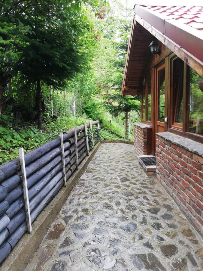 Отель La Gabi Азуга Экстерьер фото